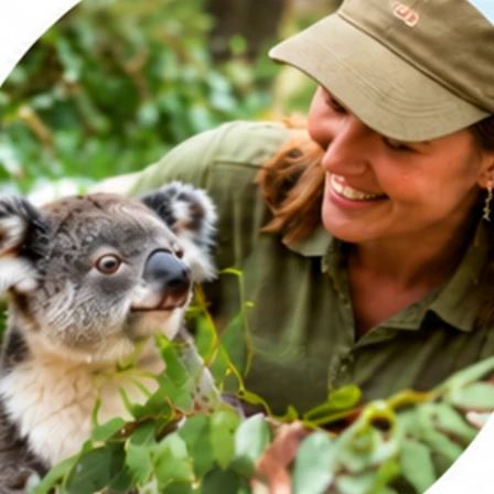 A wildlife carer offering eucalyptus leaves to a koala.